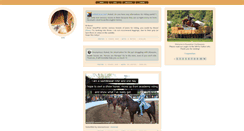 Desktop Screenshot of equestrian-confessionss.tumblr.com